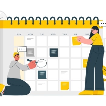 Social Media Management Services
